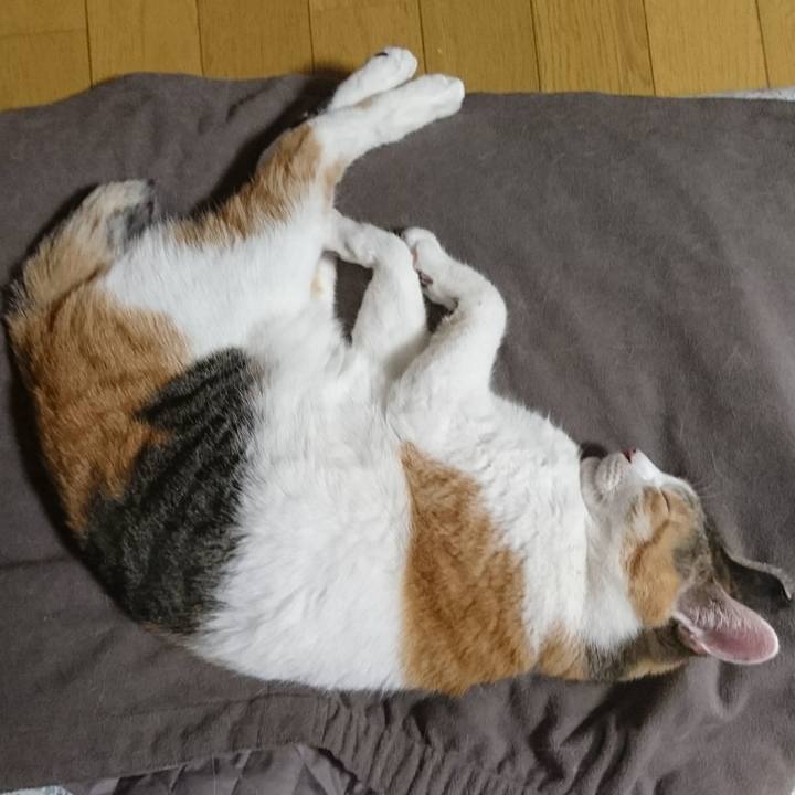 E94547f3 ebb8 43b8 a4b8 8ff5e541c10b 1556458196389