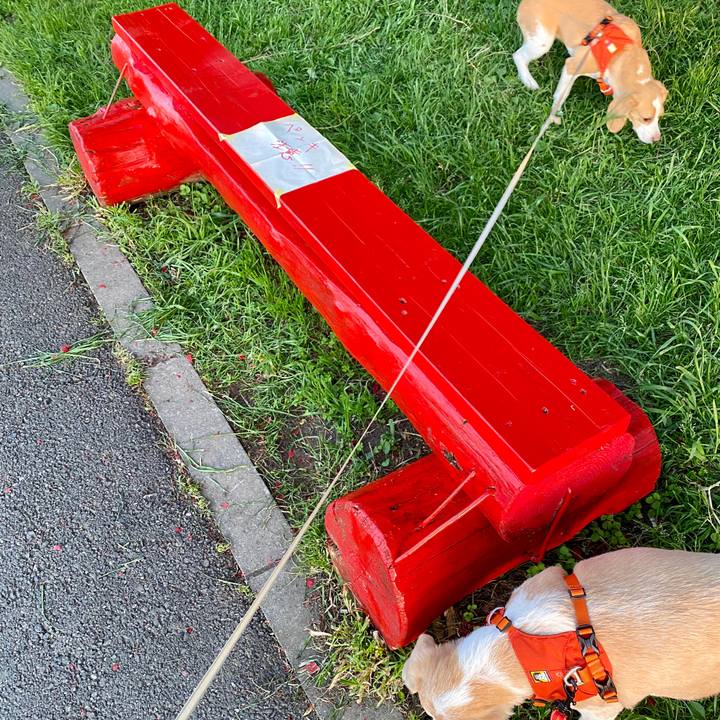 E9456e93 ce71 4817 ab35 69ddbbef671a 1589451399125