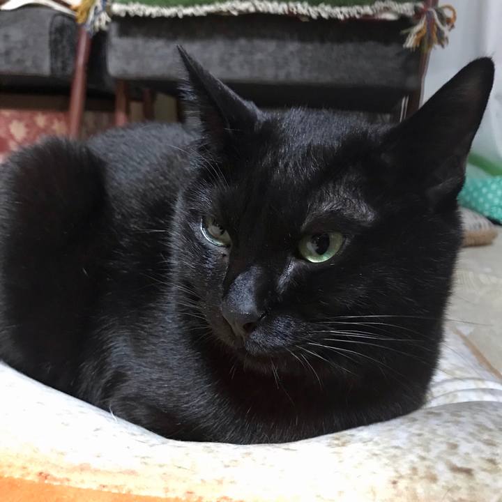 E945afc4 4749 45b9 a390 8efbfb9b08ec 1552137040172