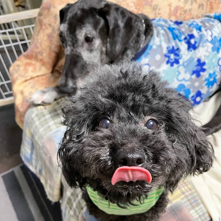 E945ff06 842f 44dc b6c8 eb6f0df917e7 1650236400314