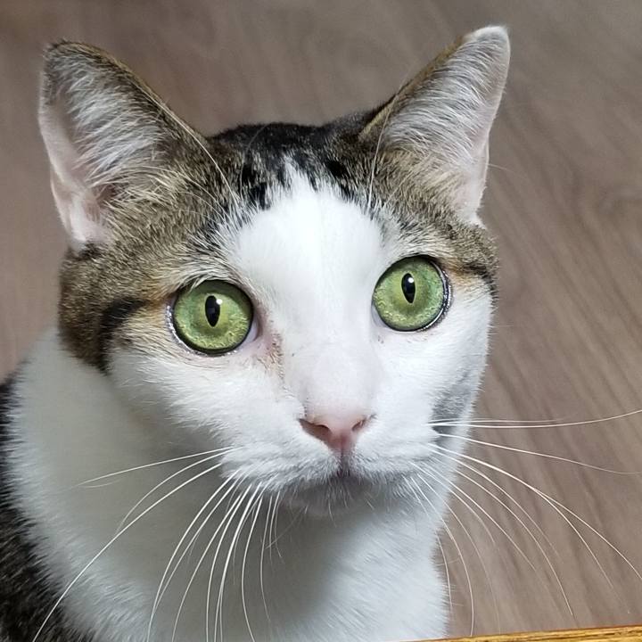 E94603f3 53a1 496f a9a7 510d913ac7ae 1575463358898