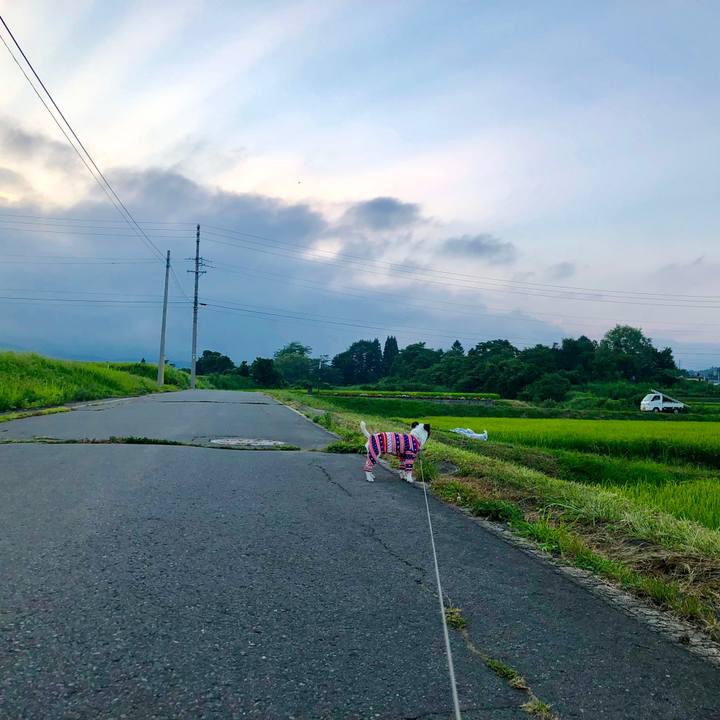 E94616d5 7f08 4747 b1b2 56225661fed3 1566041853975