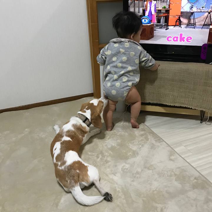 E9465b93 c1ab 4bcf ada2 cdd944b57bcb 1621169034660