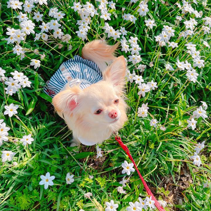 E9465b98 2ba2 4feb 86cf 97ee4777ad29 1649491614855