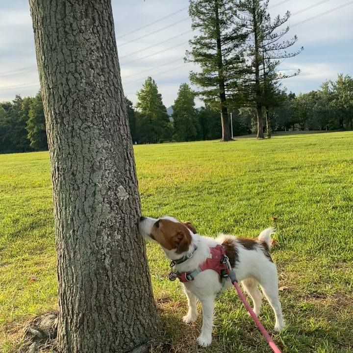 E9465d12 55e2 4c8c 8327 864fd01ead02 1759020957967