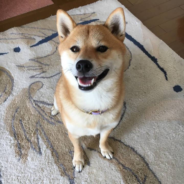 E9469d32 e802 4a4f 8514 354badf22236 1511847915154