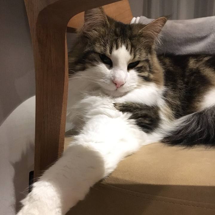 E946aff7 ccf2 4f03 aace 2981230fda56 1523282680115