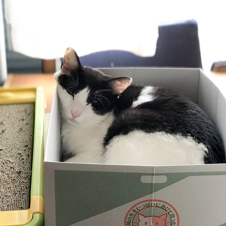 E946df6b 0090 4c84 a408 728682f683cc 1530409992158