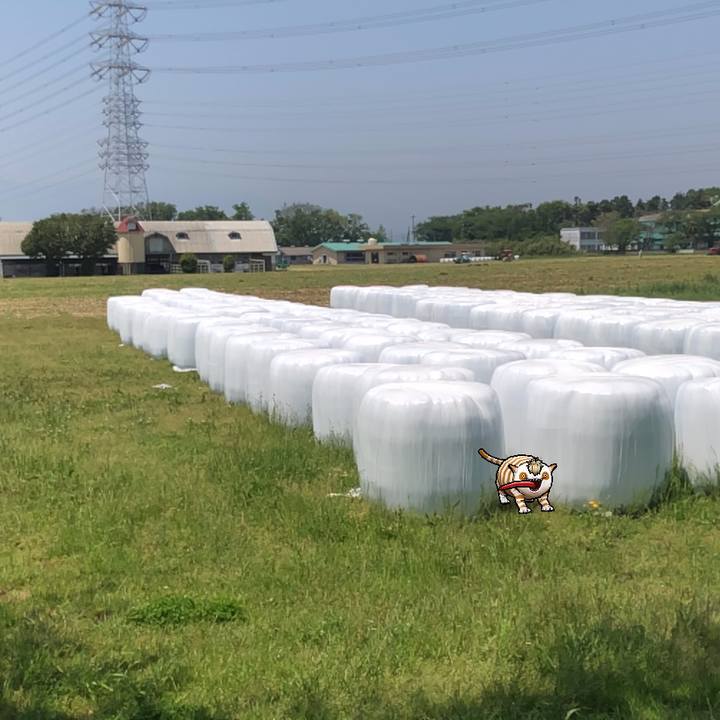 E946fcea fdd0 4154 a707 84d27ea4df8a 1588386965059