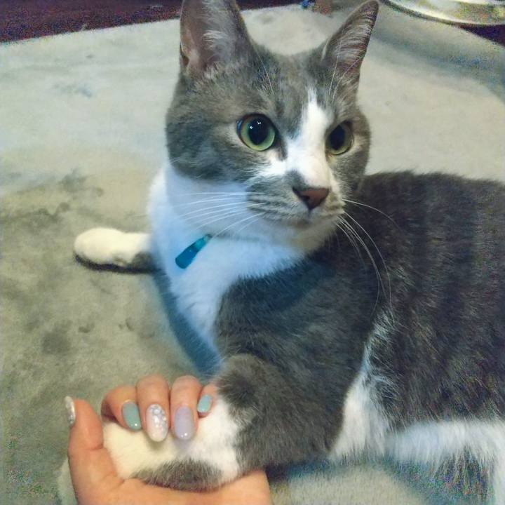 E94802ae d14a 4ef9 8224 5ebe5465ec33 1652496383963