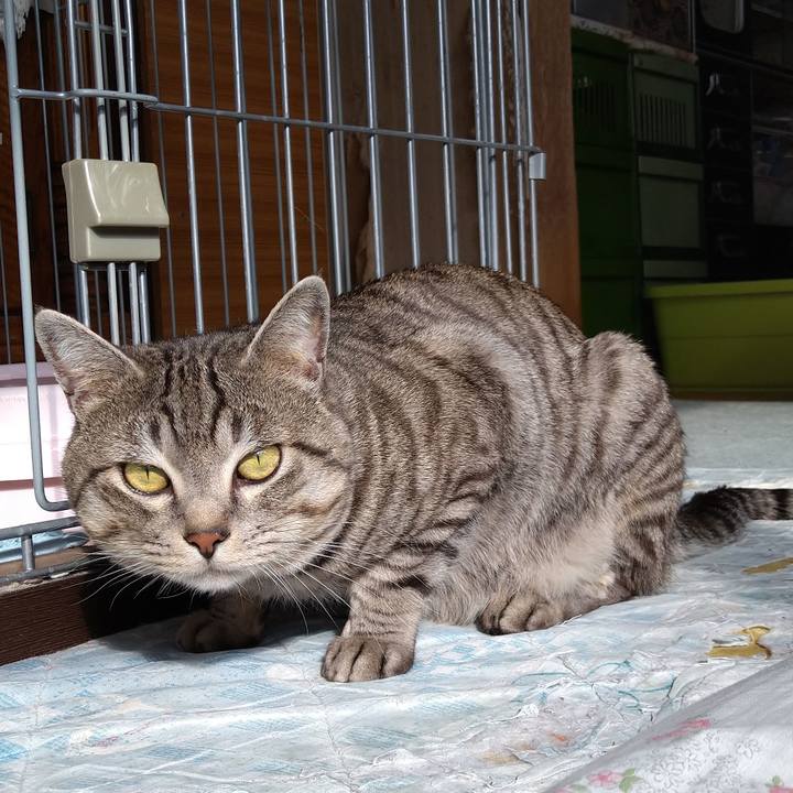 E9480e82 8f3b 4732 bc78 580b53c2ab84 1581471133885