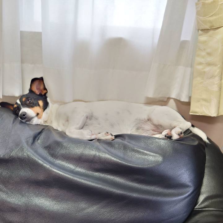 E9483008 f4ff 45d6 ae5e 3b593c808da5 1652427613354