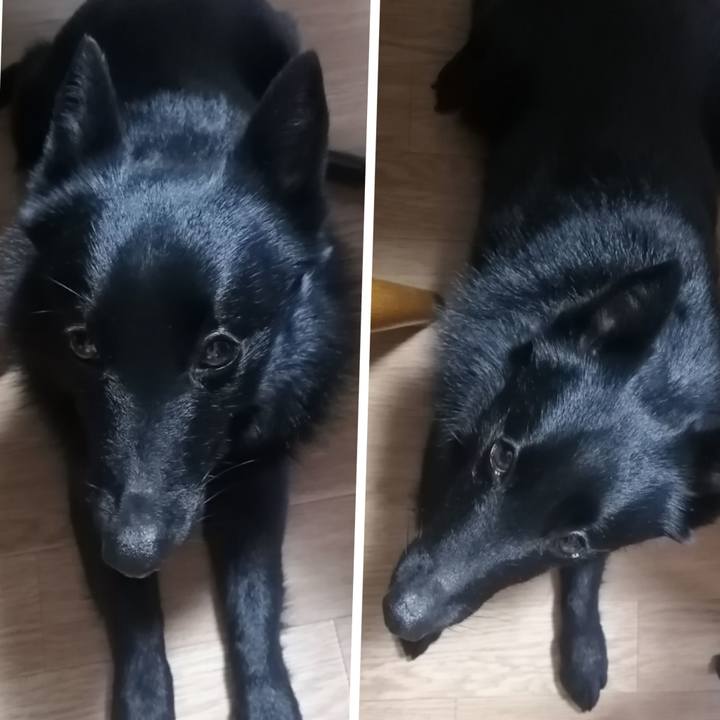 E948308d 3136 4a43 b3ac 086c42495926 1618613404990