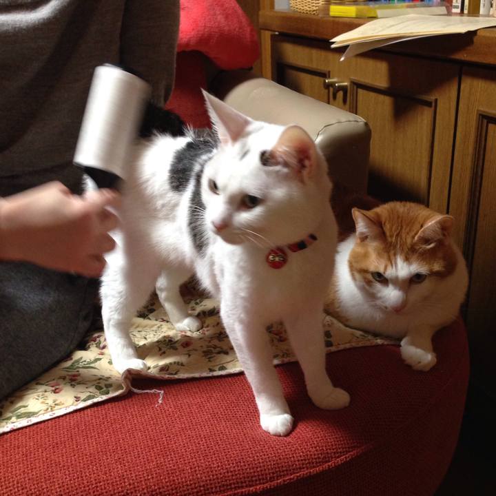 E9483a07 38a0 495a 87e8 e974ec2ec01e 1514727069270