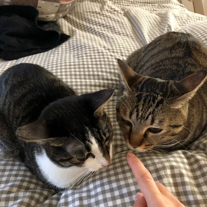 E94843c5 e1f4 4710 8bd5 2fcd0a3d2581 1517366255270