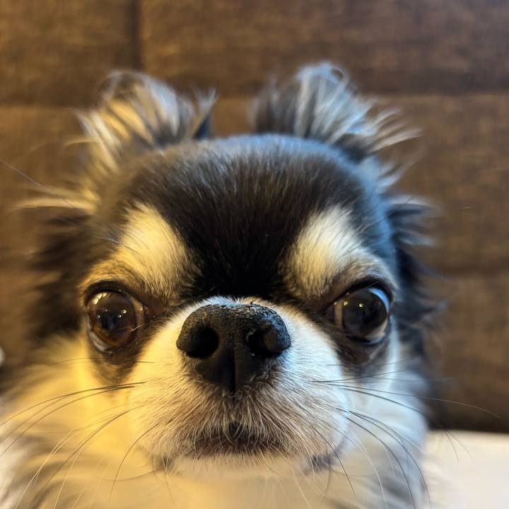 E948477a a11f 484a bb3d 5696e1f56504 1764375428483