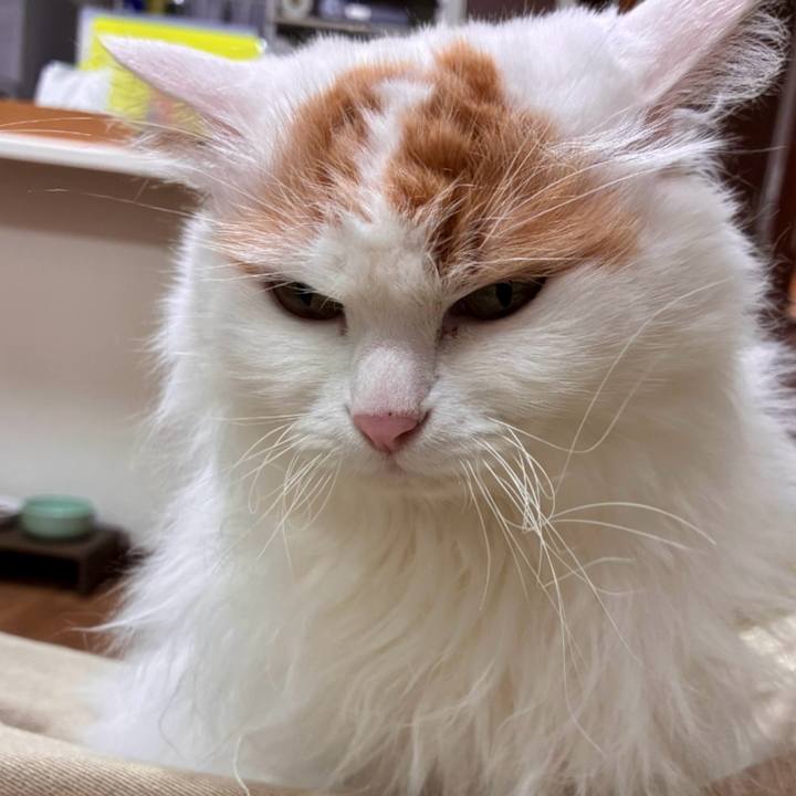 E948818b 2ef5 40f9 b5b8 728e60d59afa 1774928252770