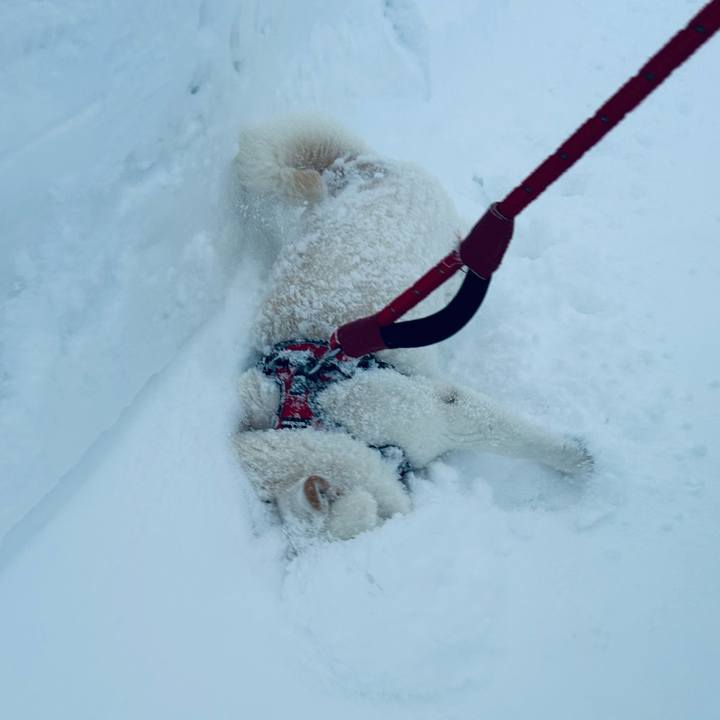 E948966c c590 42ce a1e0 62c58eda5e1a 1706919893174