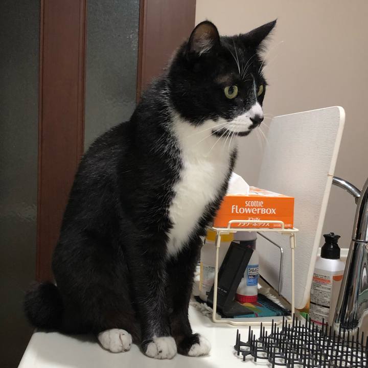 E948a50f 8530 4d41 a434 2505637ad67e 1561088863733