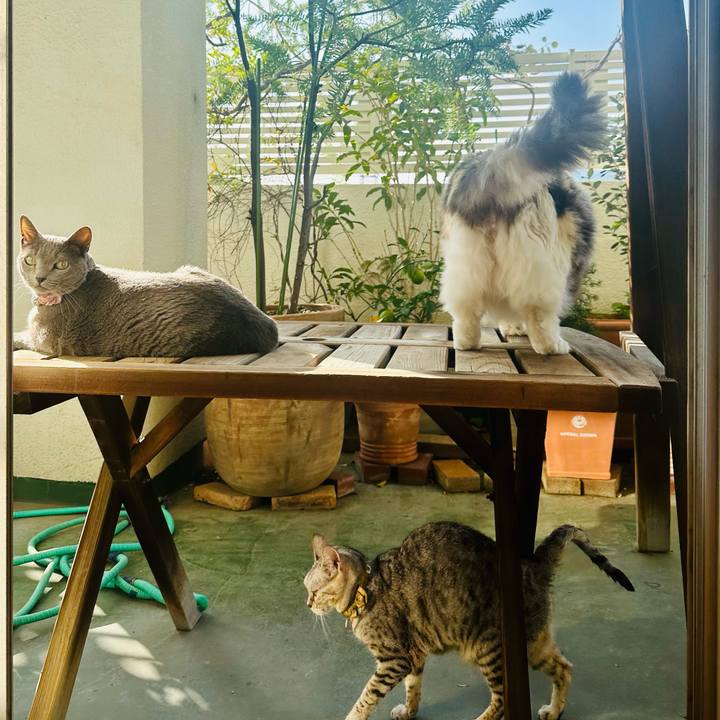 E948ae88 6c11 43d2 86f0 87b668a1ca2e 1761541886661