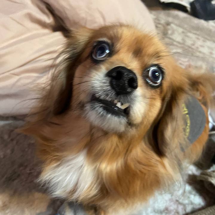 E948dec3 338e 4d46 ab59 2ec957c1c60f 1671401994003