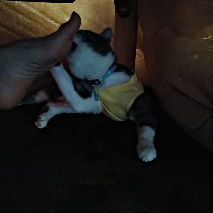 E948f606 4432 46e8 a504 b677567103cb 1584488399137