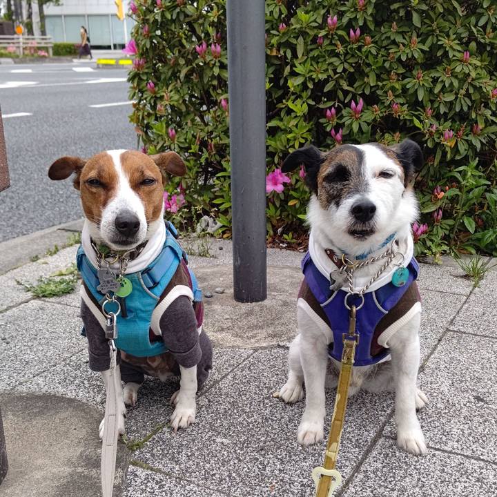 E9490bfe 1179 4fd4 a547 cf854168e581 1649889419913