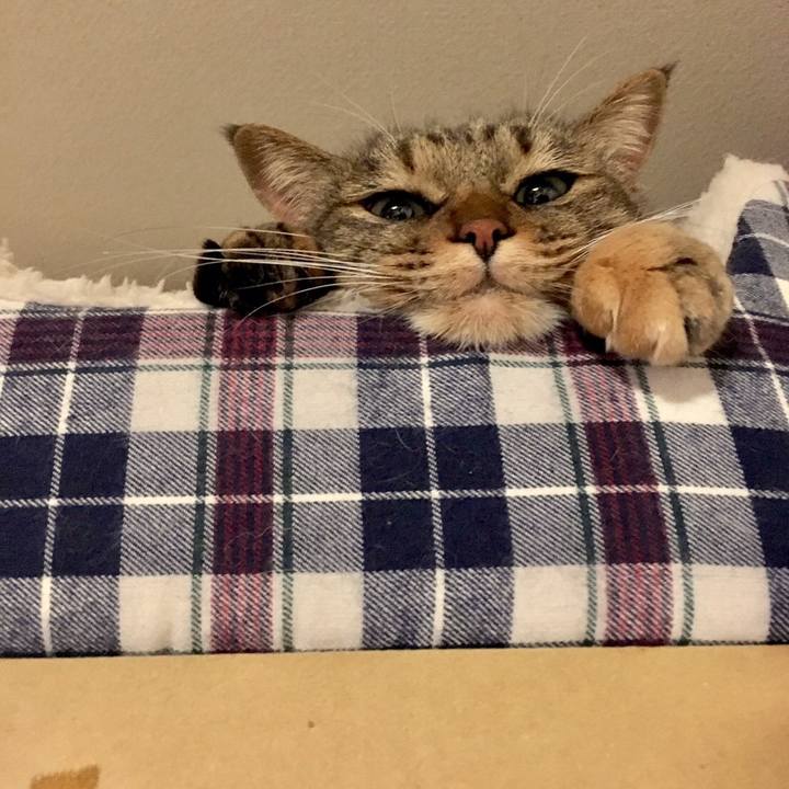 E94985cc 6f96 48f3 8683 3226385af678 1509849239569