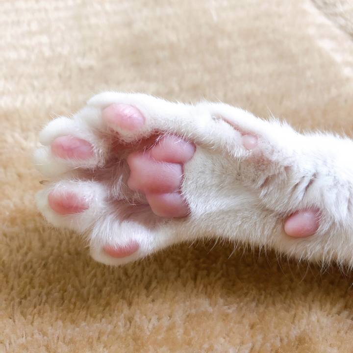 E94991fb b48c 4bc3 bb21 e316da4b8a07 1619658947270