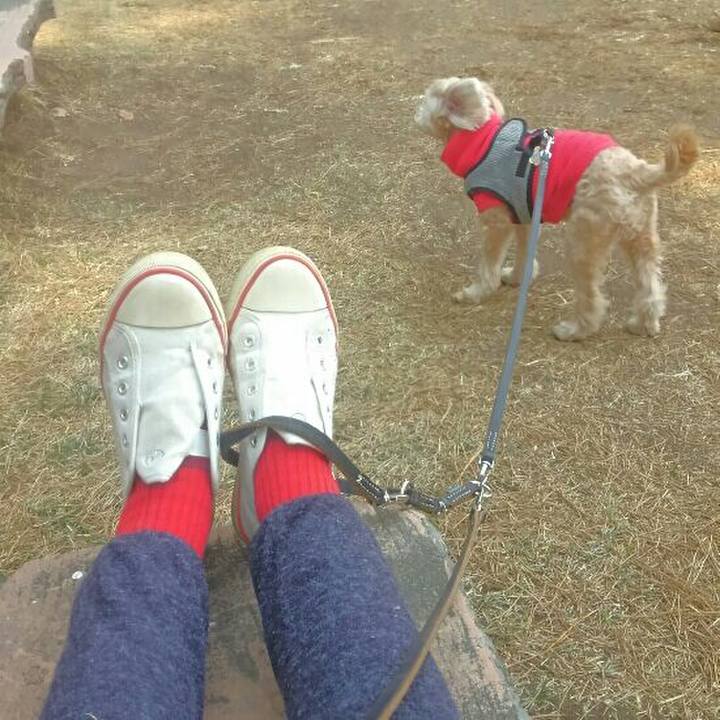 E949ae37 cc52 4e90 8ab3 4d7a3c617878 1555581278984