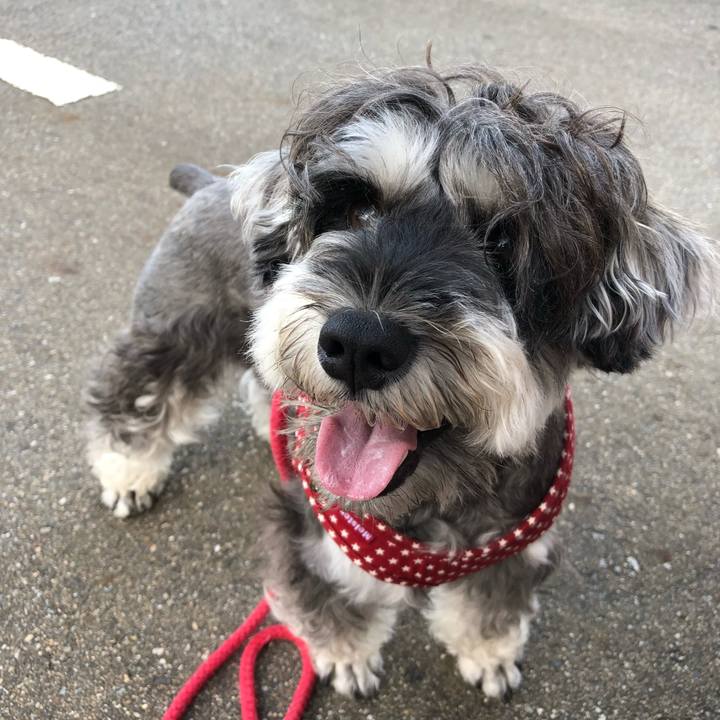 E949de5b 97d4 4bc1 878f 13cf89e29b58 1535236387186