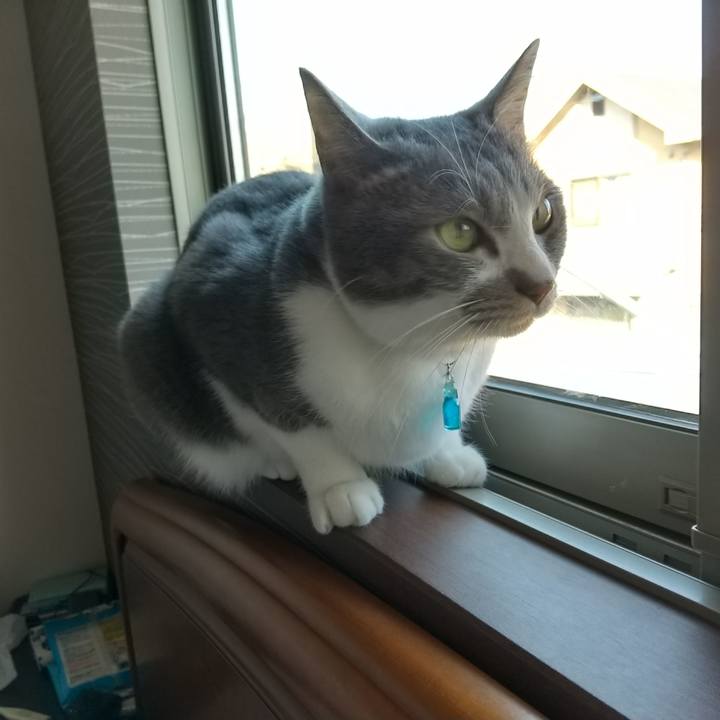 E949e87d e69f 4775 8bad 111755dcd690 1643330829350