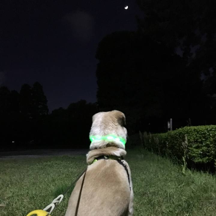 E949f391 4d71 4590 a158 1672297e2be5 1524141634109