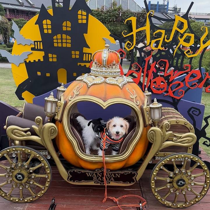 E949f461 bd2e 411a aef0 30a2c78bdc8b 1760336037021