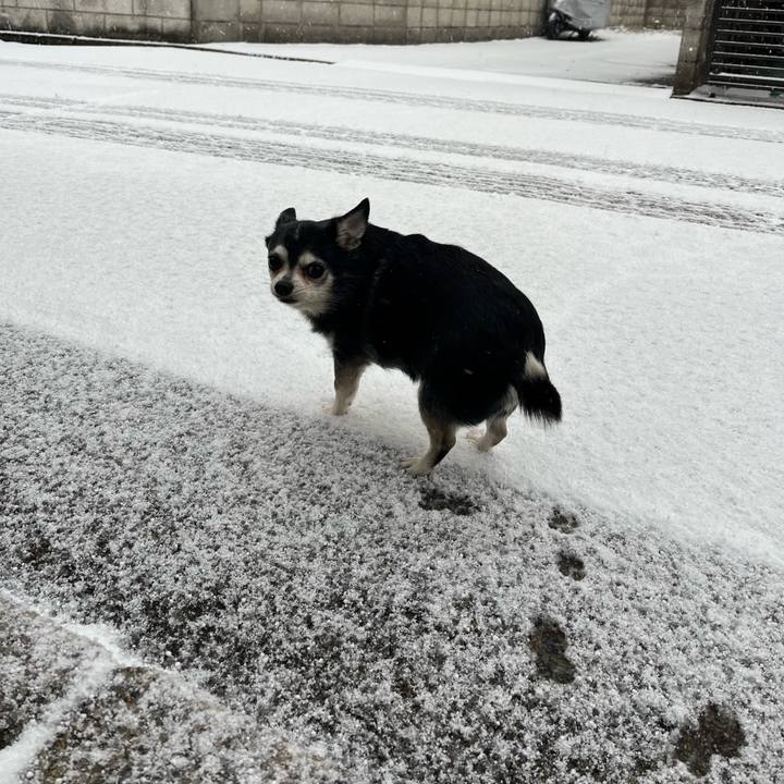 E949f865 aec9 454f 80f5 82805d62a150 1770531405382