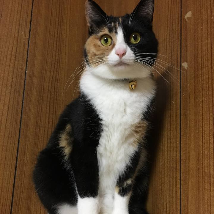 E949ff1b e99b 43d4 82b2 92da75af2a63 1513598372514