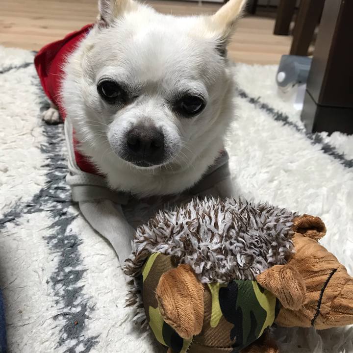 E94a0610 f2e6 4813 afe8 e58df687813a 1595414872593