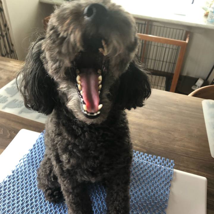 E94a44f3 4d38 46ff 8e11 12b7b1cac1a8 1601022154957