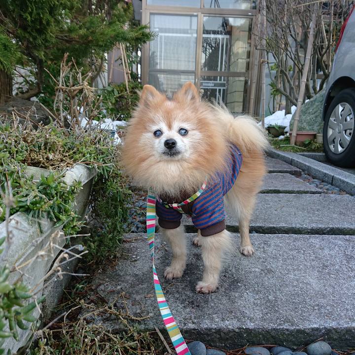 E94a4a88 af64 43b1 af22 f8f0aca0c686 1611565325582