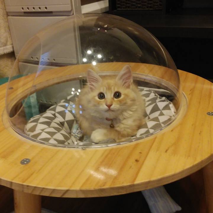 E94a7091 9205 4247 a381 32c7b3eb4dae 1605257667773