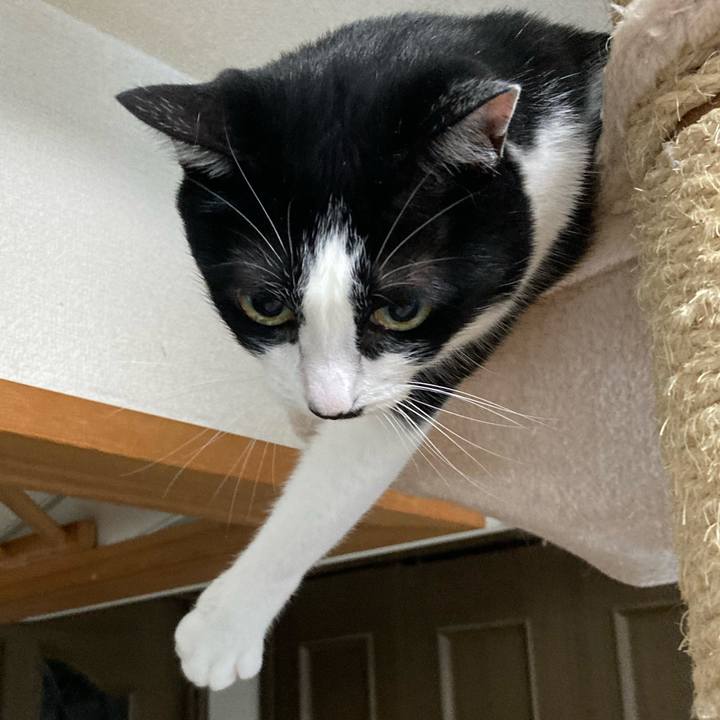 E94ac51c 238b 4ba6 ac41 1eb73f2bd253 1692400389905