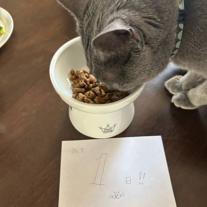 E94ac5df 20a3 4aaa 8e64 87c589a3687b 1707892007914