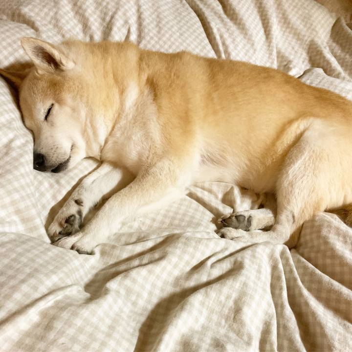 E94ad2c5 60e8 4082 a767 2ce74c49e8dd 1698941144694