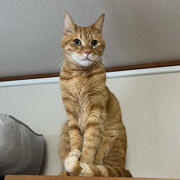 E94b177c 3ffe 4621 8481 8e3dab0e7493 1764679391450