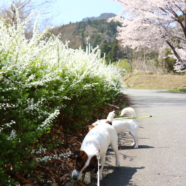 E94b3032 2325 4937 9c15 f0a62a3aab33 1554538595597