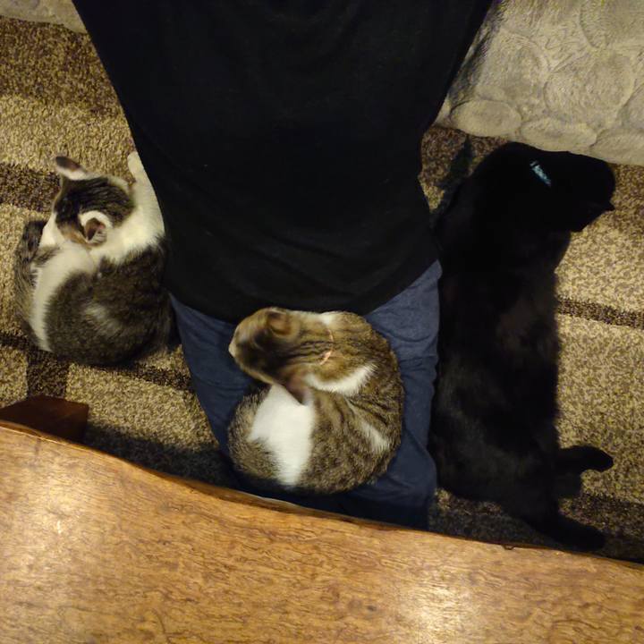 E94b5d93 875f 42ba b9a1 982ac5cade13 1551742248028