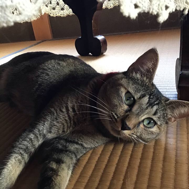 E94b77e9 75ee 4027 a64f a39dab795c79 1599628157598