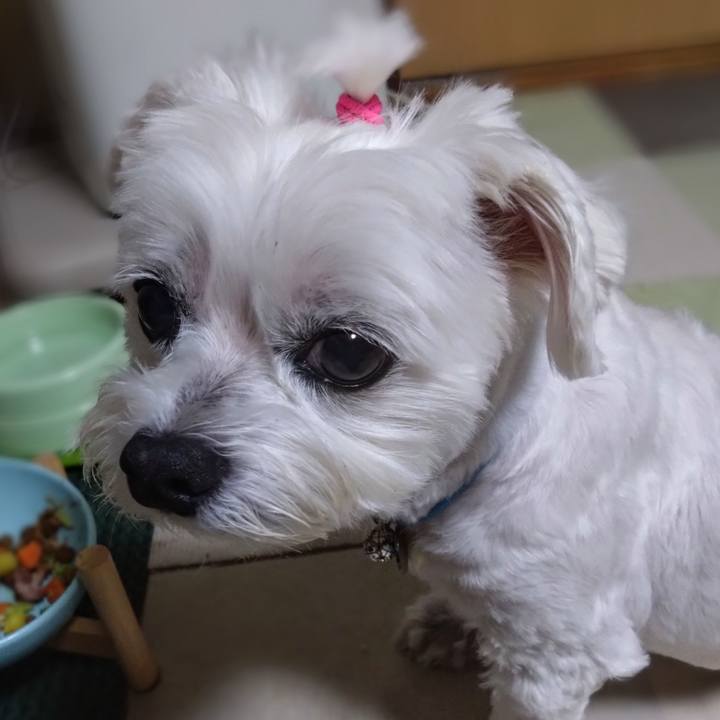 E94b8ffb 4fa4 4719 93ba 28744a753ee2 1723033348154