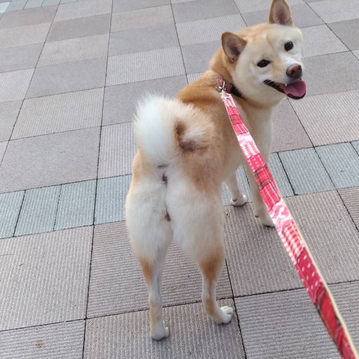 E94b931d ca58 405c a77c 0fef34b34e37 1568032902828