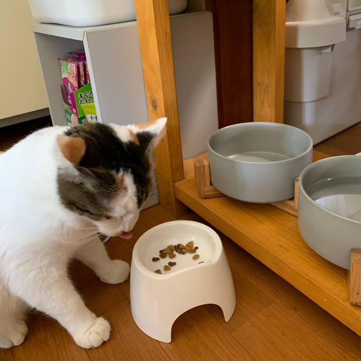 E94b9827 6b4b 4a8c a126 6b611e2e5fd7 1660873344415